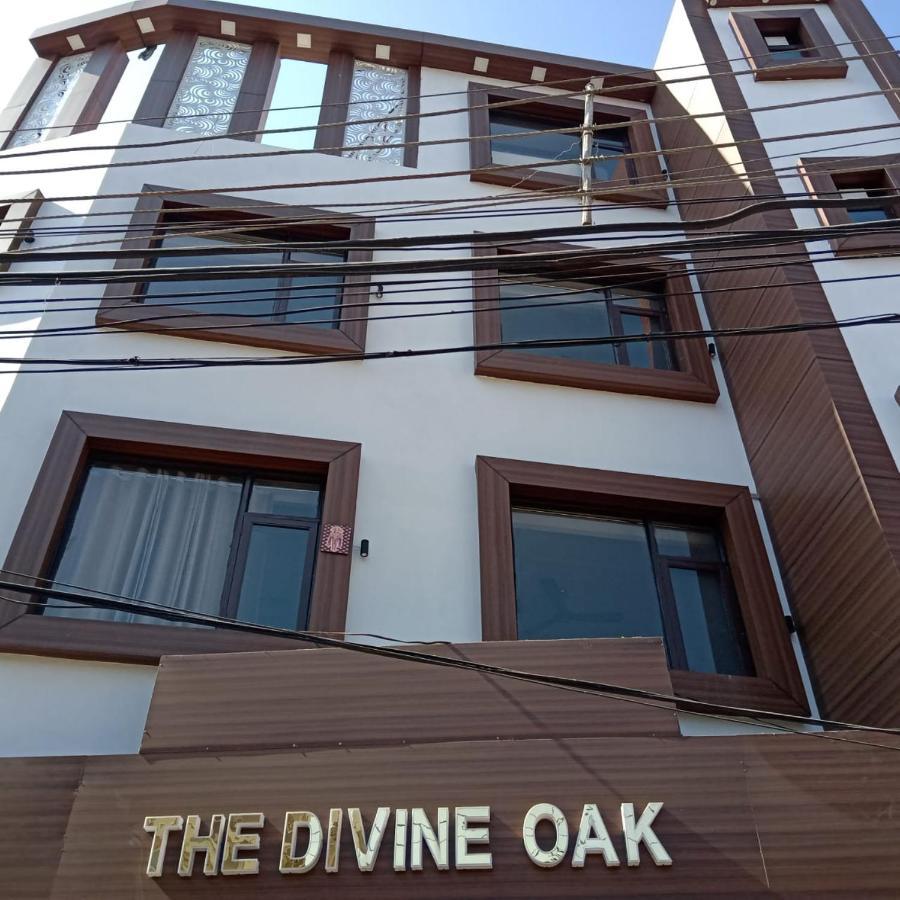 The Divine Oak Hotel Katra  Kültér fotó