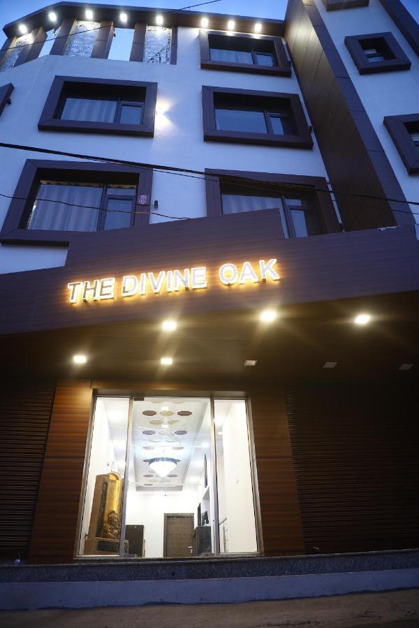 The Divine Oak Hotel Katra  Kültér fotó